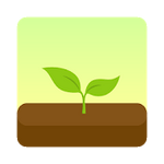 Forest Stay focused 4.1.6 APK