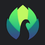 Peafowl Theme Maker for EMUI & MIUI 13.0.7 Pro APK