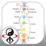 Acupressure Massage Qigong (YMAA) 1.0.2 APK Unlocked