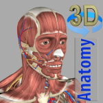 3D Anatomy 5.7 APK Paid