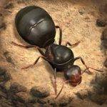 The Ants Underground Kingdom v 1.14.0 Hack mod apk  (full version)