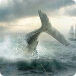 Moby Dick Wild Hunting v 1.1.0 Hack mod apk  (Mod Money/No Ads)
