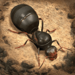 The Ants Underground Kingdom v  3.11.0 Hack mod apk (full version)